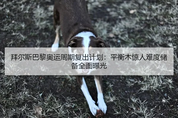 拜尔斯巴黎奥运周期复出计划：平衡木惊人难度储备全面曝光